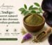 L’Indigo : le secret naturel pour des cheveux aux reflets profonds