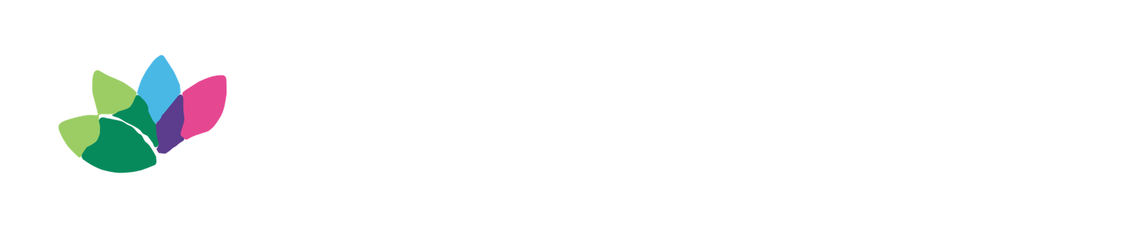 Anazwina France — logo officiel